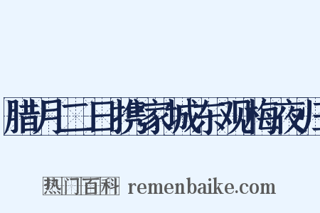 腊月二日携家城东观梅夜归是什么意思的图片